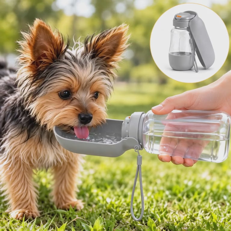 2-in-1 Portable Dog Water Bottle